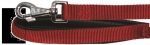 58104